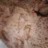 mud-footprint